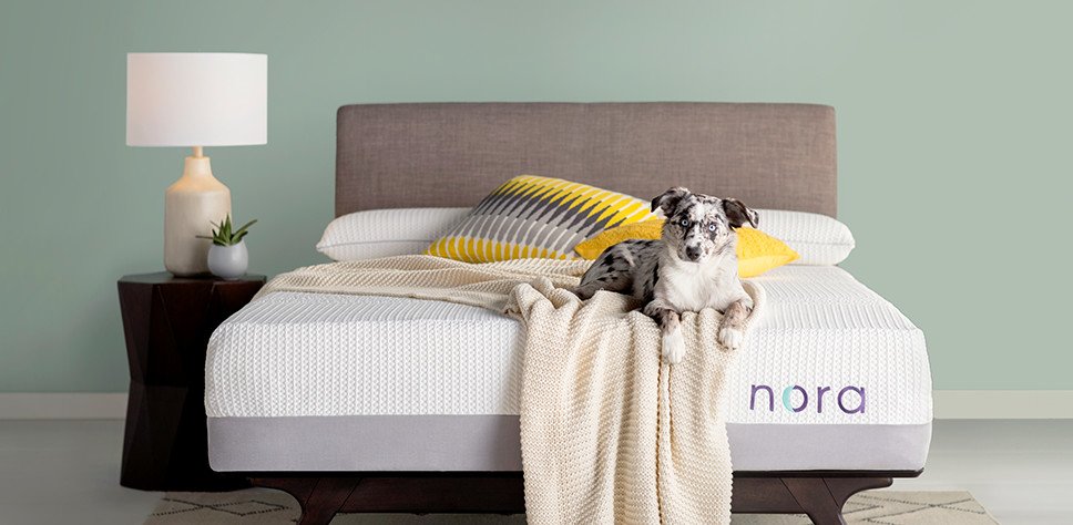 Nora Bed Review With Summary and Coupon